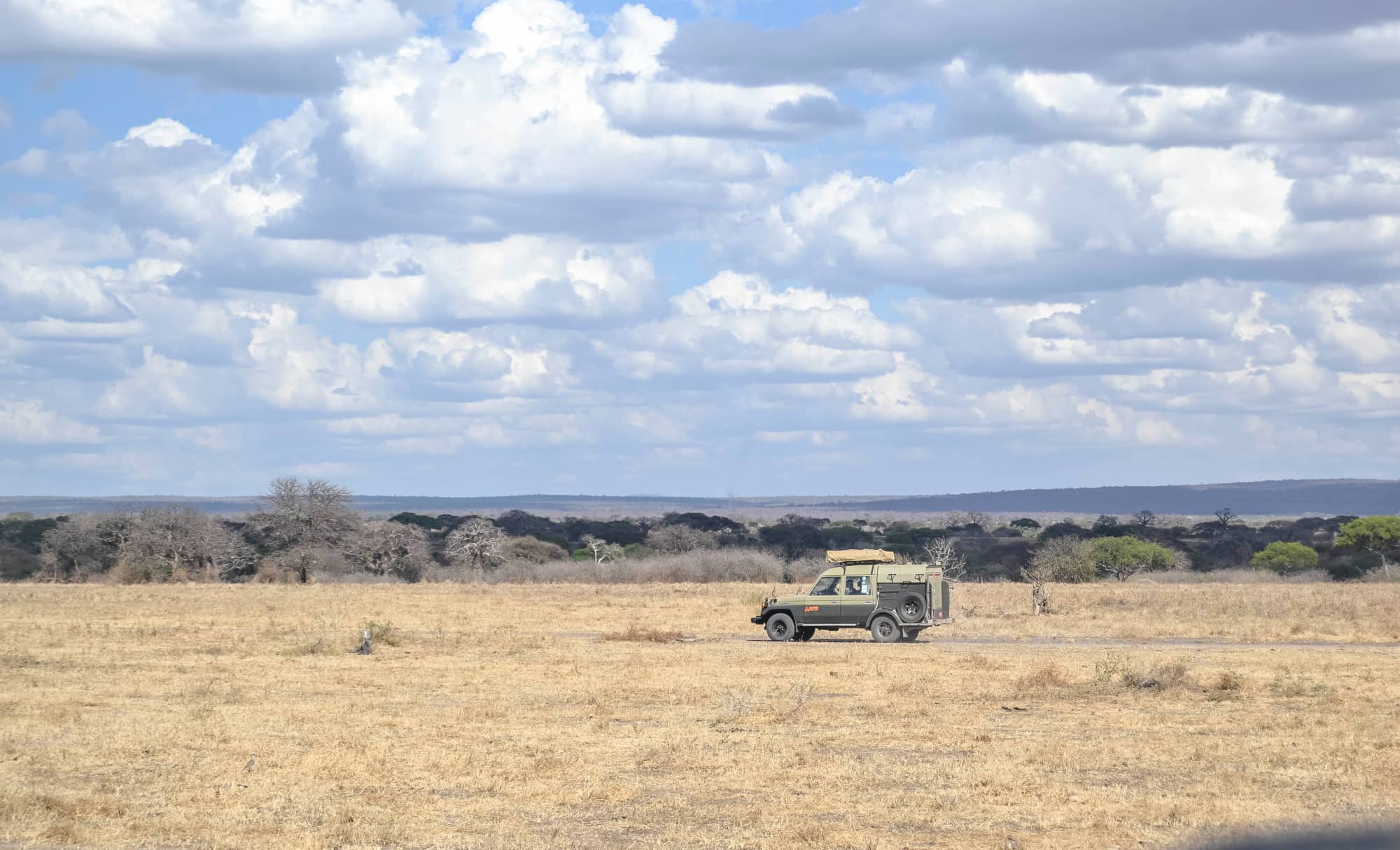 15 days safari south Tanzania