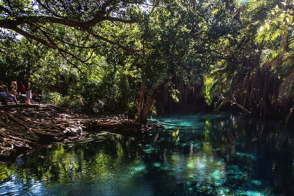 13-Day Northern Tanzania Self-Drive Safari- Kilimanjaro