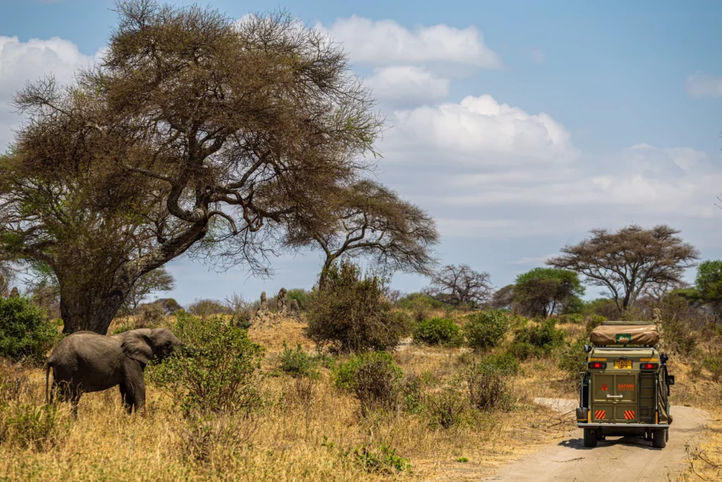 7 DAYS SELF DRIVE SAFARI IN TANZANIA