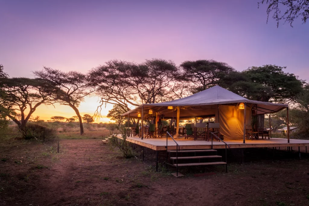 Baobab Tented Camp in Tarangire Accommodation