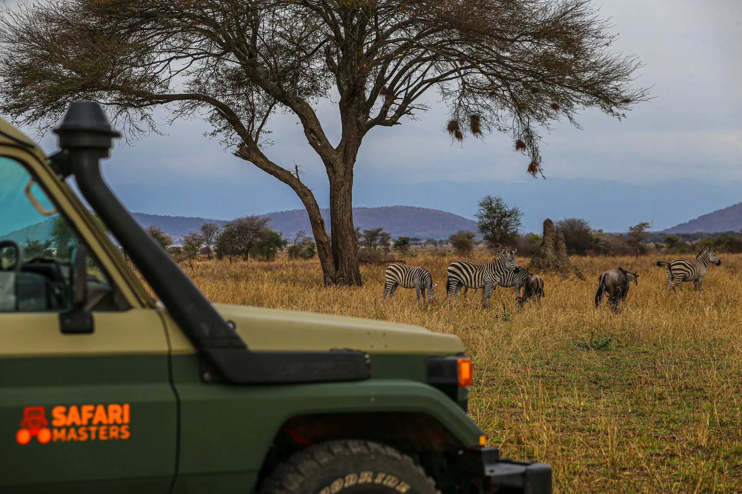 Our fleets of 4x4 includes land cruiser and Hilux designed for safaris in Africa