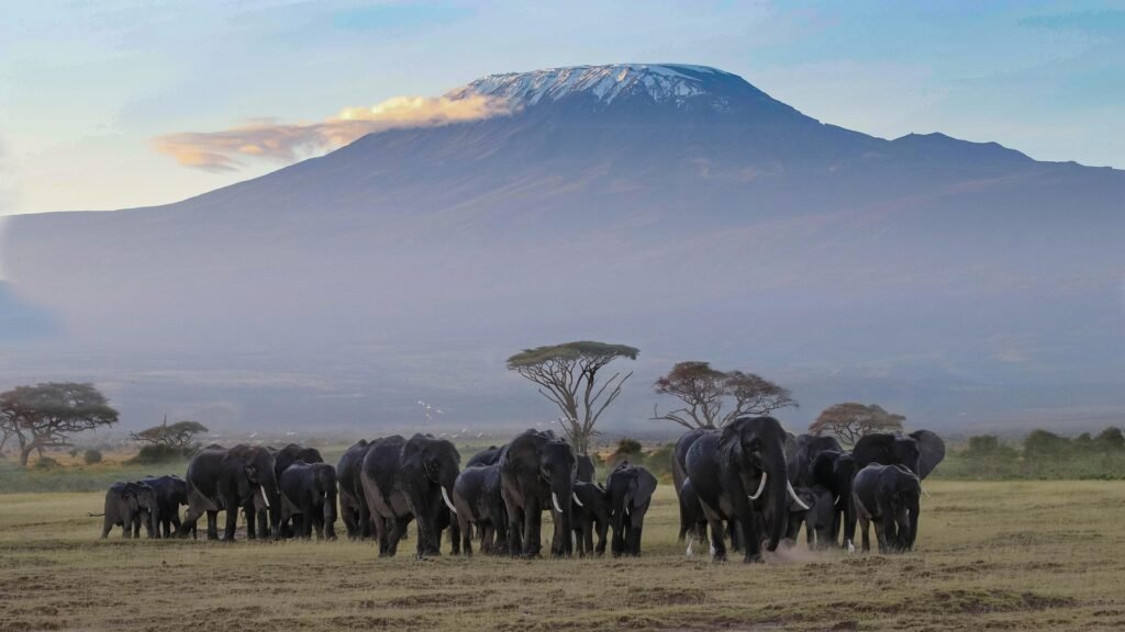 15 DAYS KENYA SELF-DRIVE SAFARI & COAST ESCAPE