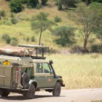 Safari masters car rental in Tarangire with rooftop