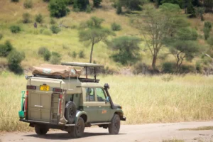 Safari masters car rental in Tarangire with rooftop