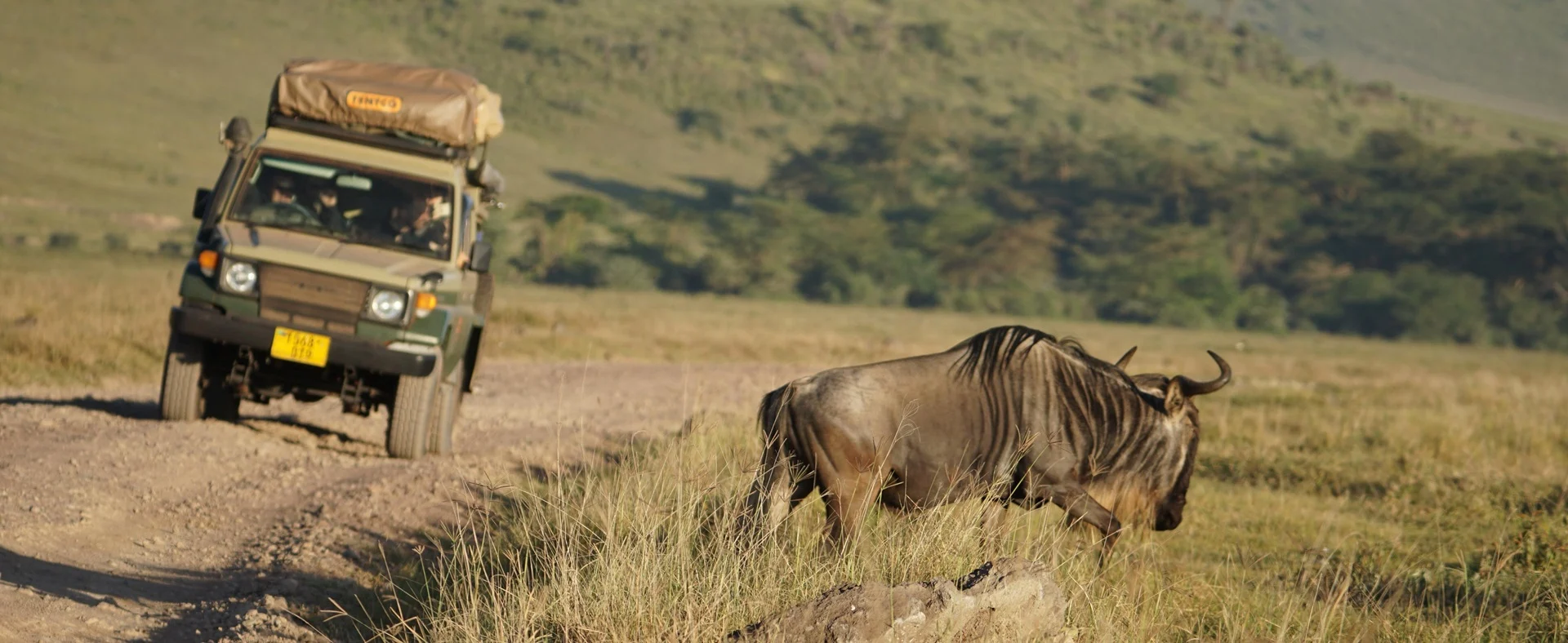 Un jeep circula por una pista de tierra mientras un ñu pasta cerca, mostrando las distancias y los tiempos de conducción en Tanzania.