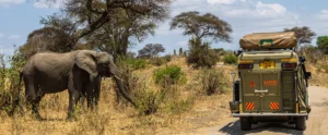 A truck with a tent on top drives along a dirt road, showcasing the best time to visit Tanzania scenic landscapes.