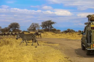 4x4 safari masters vehicle traversing a dirt road, highlighting the best time to visit Masai Mara's natural beauty.
