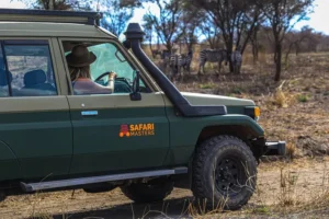 tourist looking at zebras in a safari masters vehicle during self drive masai mara trip