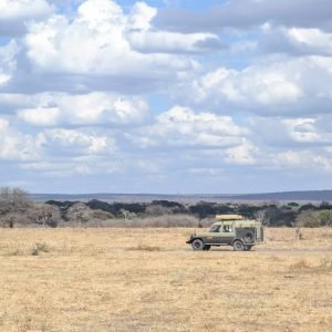 15_days_safari_south (2)