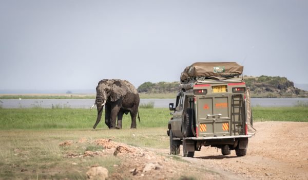 Safai Masters 012024-10