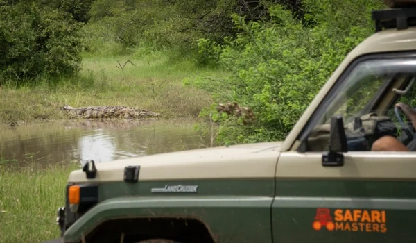Safari Crocodile Encounter - Safari Master