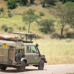 Safari masters car rental in Tarangire with rooftop