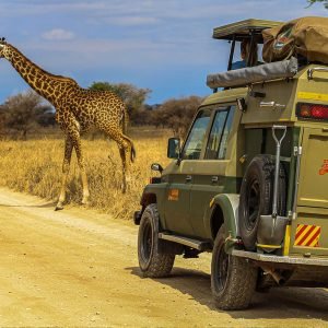 vehicles-banner